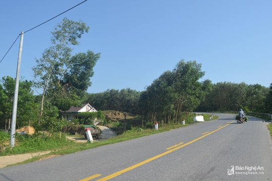 Sẽ thanh tra toàn diện ở xã Thanh Hà (Thanh Chương)