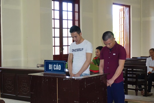 Vì ma túy, bạn học thành bạn tù