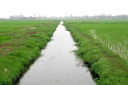 Theo bố mẹ ra đồng, cháu bé 4 tuổi ở Nghệ An rơi xuống mương nước tử vong