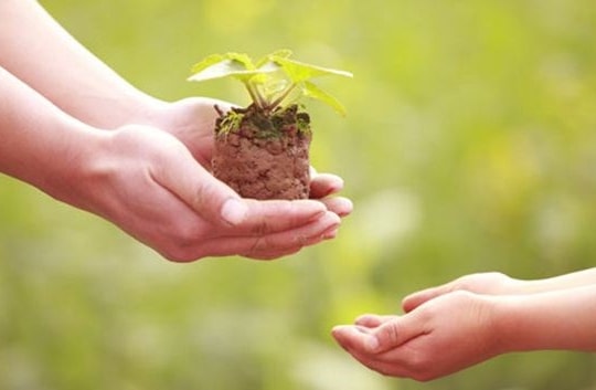 Cho đi là còn mãi