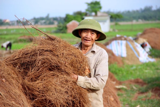 Về nơi người dân đổ xô vào rừng nhặt thứ lá 'quý như vàng' ở Nghệ An