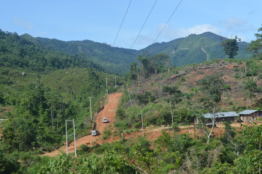 Cận cảnh cung đường gỗ lậu ở sát biên giới Tây Nghệ An