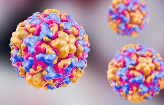 Tế bào ung thư bị tiêu diệt nhờ căn bệnh 'nhẹ' người Việt ai cũng mắc