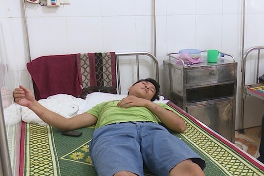 Kiểm lâm truy đuổi bị lâm tặc ném gạch trúng đầu