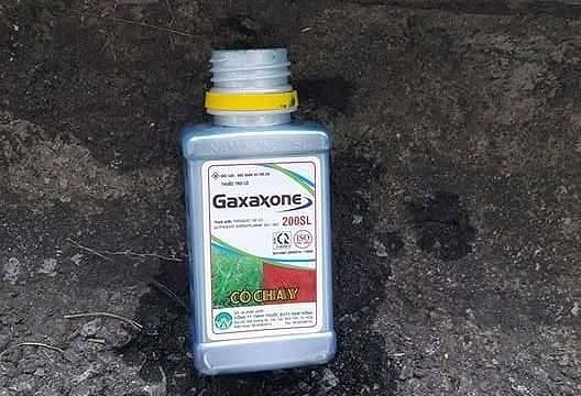 Vợ tử vong, chồng nguy kịch sau khi uống thuốc diệt cỏ