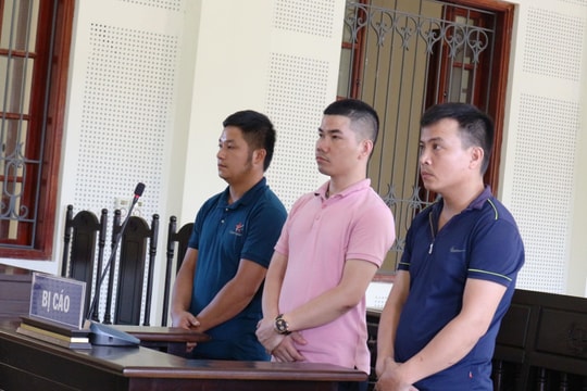 Tổ chức cho người khác trốn đi nước ngoài, cựu sinh viên lĩnh án tù