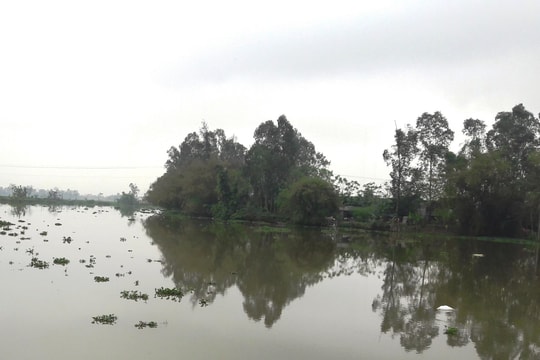 Nghệ An: Phát hiện thi thể người đàn ông bị mắc trong lưới 