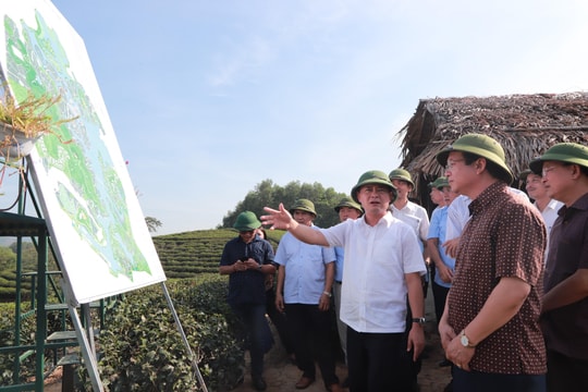 Chủ tịch UBND tỉnh kiểm tra tiến độ Dự án khu du lịch hỗn hợp và nghỉ dưỡng Cầu Cau