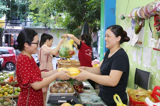 Khám phá thế giới hoa quả sạch, tiêu chuẩn chất lượng VietGAP, GlobalGAP ở thành Vinh