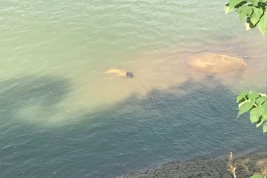 Phát hiện thi thể người phụ nữ nổi trên sông Lam