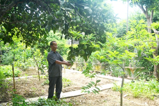 Các sản phẩm đặc trưng của 17 tỉnh, thành sẽ được giới thiệu tại Nghệ An 