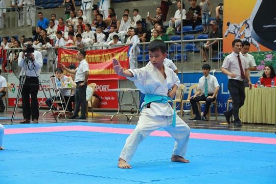 Hơn 500 vận động viên Karatedo Nghệ An tranh tài với Lào, Thái Lan 