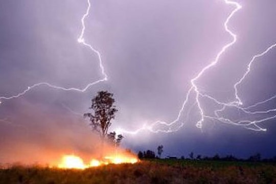 Nghệ An: Người phụ nữ bị sét đánh trúng khi đang làm vườn