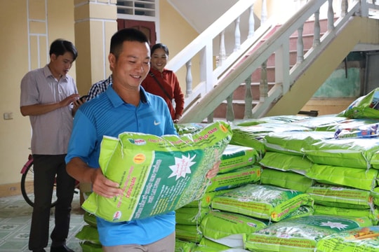 Cấp 7 tấn ngô giống cho người dân Kỳ Sơn bị thiệt hại do hạn hán