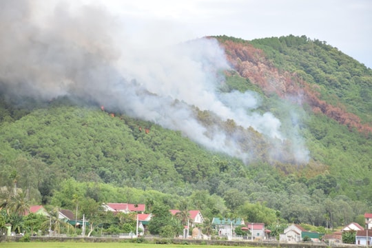 Cháy rừng thông 40 năm tuổi ở Yên Thành (Nghệ An)
