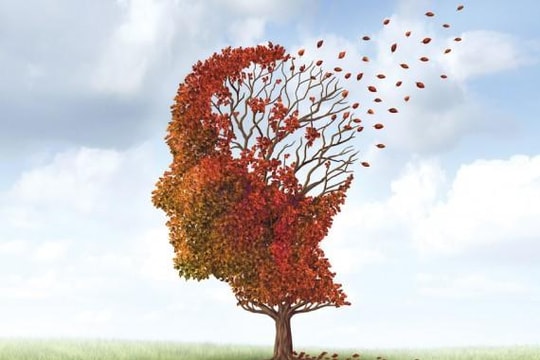 Dấu hiệu nhận biết bạn bị sa sút trí tuệ