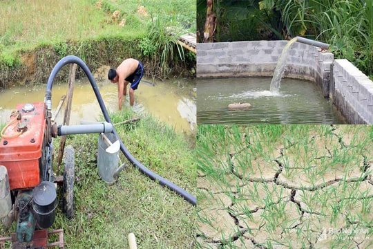 Nắng hạn cực điểm, 12 vạn hộ dân khát nước