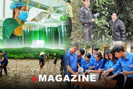 Liên hiệp các Hội Khoa học và Kỹ thuật tỉnh Nghệ An: Dấu ấn một nhiệm kỳ xây dựng và phát triển