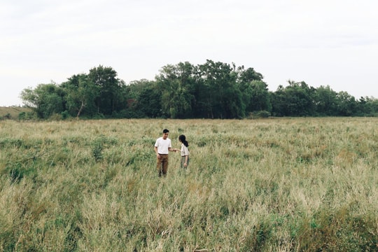 'Dân săn ảnh' ở Nghệ An 'nóng ruột' với đồng cỏ tại chân đê Hưng Hòa 