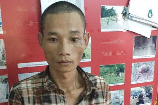 Tài xế nghiện ma túy đá, chở gỗ lậu bằng ô tô hết hạn lưu hành, đâm xe vào cảnh sát 