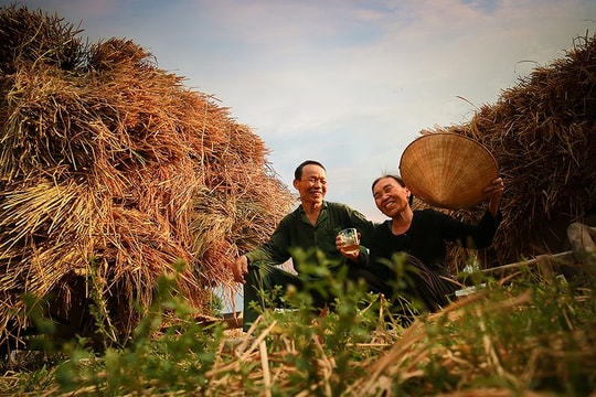 Rà soát bất cập, vướng mắc để kịp thời sửa đổi, bổ sung, hoàn thiện Luật Hôn nhân và Gia đình