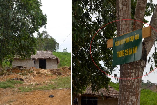 Nhóm đối tượng ở Nghệ An lập chốt, trưng biển 'cấm quay phim, chụp ảnh' để khai thác rừng trái phép