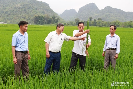 Đổi mới công tác xây dựng Đảng về chính trị, tư tưởng