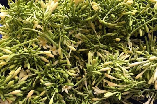 Loại hoa vườn nhà thường cắt bỏ đi, sấy khô thành đặc sản bán 1,5 triệu đồng/kg