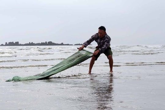 Ngư dân Nghệ An 'lọc' cát biển bắt ốc cườm thu tiền triệu mỗi ngày  ​