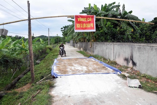 Tiêu hủy số lượng lợn nhiễm dịch tả châu Phi nhiều nhất từ trước đến nay ở Nghệ An