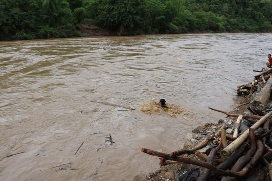 Nghệ An: Người dân liều mình vớt củi, gỗ giữa dòng nước lũ chảy xiết