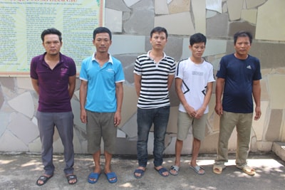 Bắt nhóm đánh bạc trong trang trại chăn nuôi