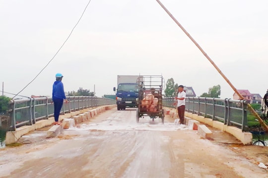 Tiếp tục triển khai quyết liệt các biện pháp phòng, chống dịch tả lợn châu Phi