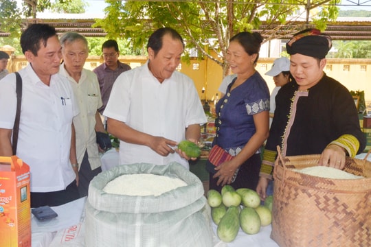 Xây dựng thương hiệu nhận diện cho sản phẩm đặc sản của Nghệ An