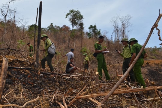 Thanh Chương chỉ đạo xử lý thông tin trưng biển 'cấm quay phim, chụp ảnh' để khai thác rừng