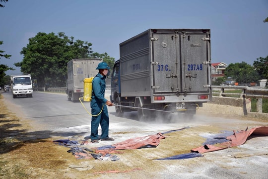 Nghệ An: 100 xã được công bố hết dịch tả lợn châu Phi