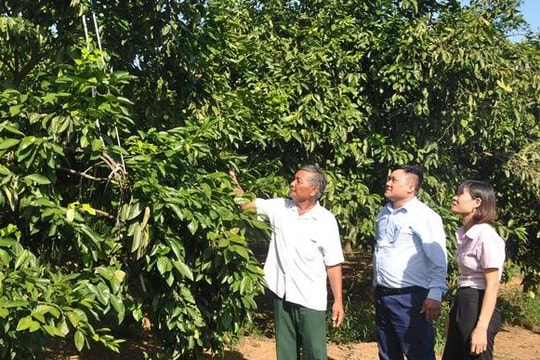 Chỉ thị 40 của Ban Bí thư giúp Nghệ An tạo đột phá trong tín dụng chính sách