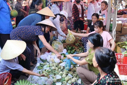Sôi động chợ quê Nghệ An đón Rằm tháng Bảy