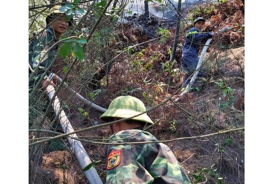 Khống chế vụ cháy rừng thông ở Cửa Lò