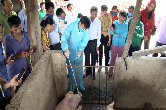 Tương Dương công bố hết dịch tả lợn châu Phi trên địa bàn 2 xã