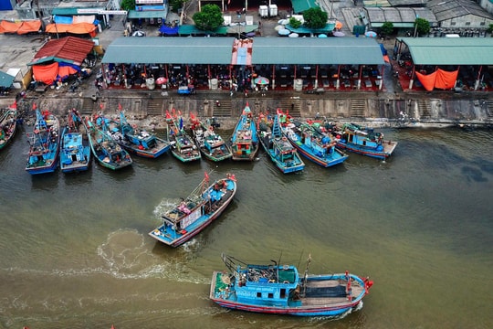  Hình ảnh cảng cá với hải sản 'tươi rói' khiến ai nhìn cũng muốn đến