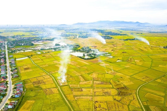 Xây dựng NTM vùng đồng bằng sông Hồng và Bắc Trung Bộ: Những kinh nghiệm từ thực tiễn