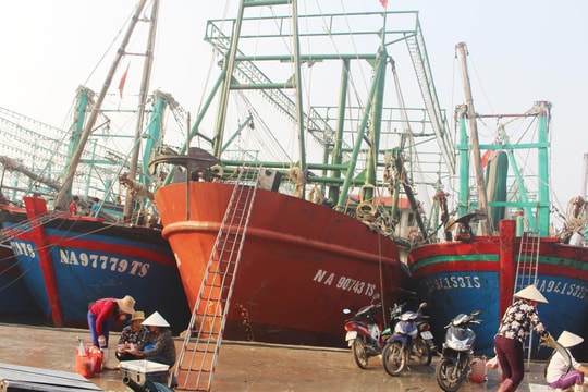 Ngư dân Nghệ An đi thuê 'tàu 67' ngoại tỉnh về khai thác cho thu nhập cao   