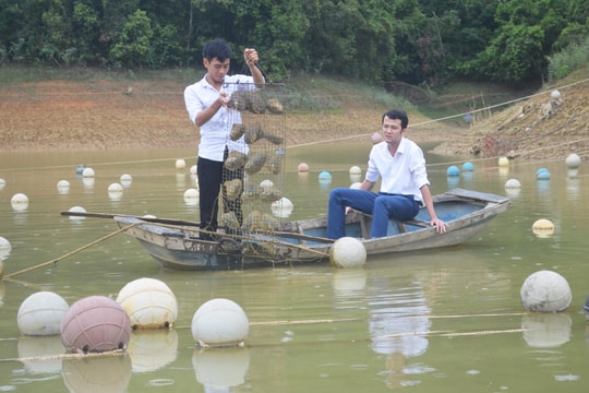 Giấc mơ 'trai hóa ngọc' trên hồ bản Muỗng