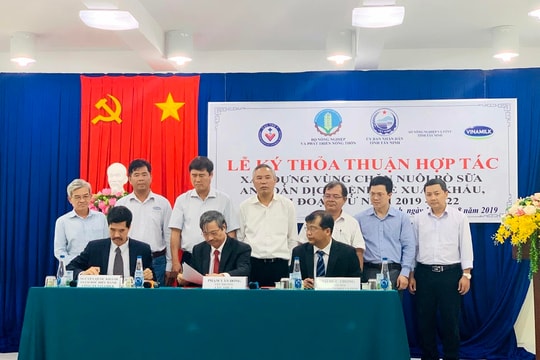 Vinamilk tiên phong xây dựng vùng chăn nuôi bò sữa an toàn dịch bệnh theo tiêu chuẩn quốc tế