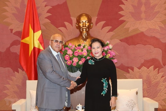 Việt Nam luôn là người đồng chí, anh em chung thủy, sát cánh với Cuba