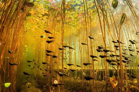 Ngỡ ngàng trước cảnh sắc tuyệt đẹp của thiên nhiên