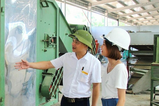 Công ty CP Mía đường Sông Lam đầu tư phát triển ngành chè