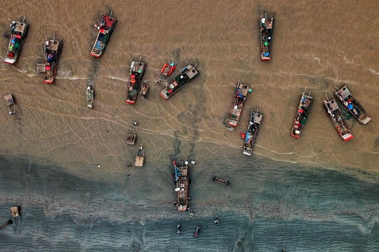 Nhộn nhịp mùa đánh bắt tôm tít trên biển Diễn Kim