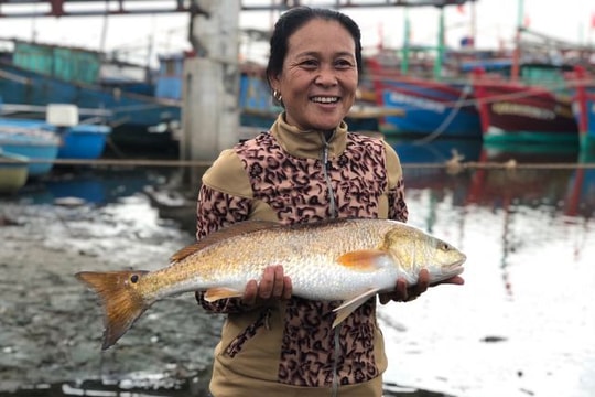 Người dân bắt được cặp cá lạ nghi sủ vàng tiền tỷ